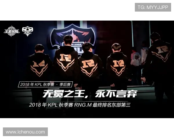 深入探讨EDG在王者荣耀中的团队协作与战术配合之道