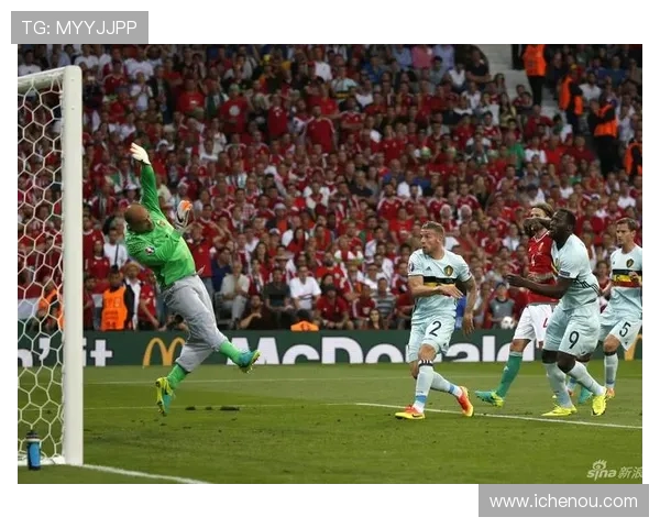 比利时与匈牙利精彩对决视频回顾及赛后分析分享