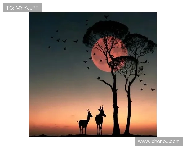 王岚的音乐旅程与人生哲学探讨：从旋律中寻找灵魂的共鸣与成长