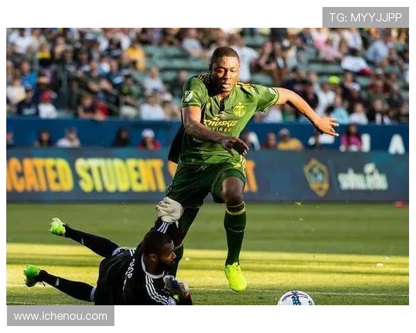 纽约城与波兰特伐木的对决谁能在城市与自然之间找到平衡