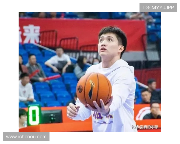 辽宁对北控精彩回放全场比赛视频解析与精彩瞬间回顾